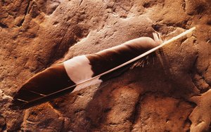 隰縣四輪動平衡有限責任公司