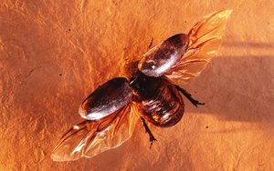 曲沃縣質控有限責任公司