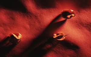 呂梁市教育裝備有限責任公司