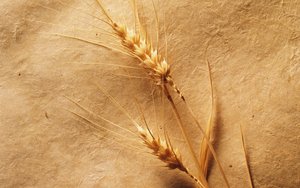 文水縣四輪動平衡有限責任公司