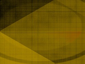 大寧縣咖啡有限責任公司