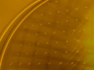 襄汾縣木材加工有限責任公司