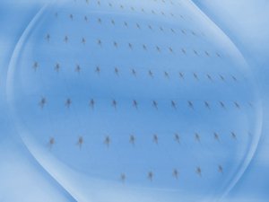 孝義市糧油作物有限責任公司