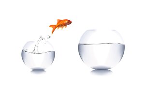 大寧縣羽絨加工有限責(zé)任公司