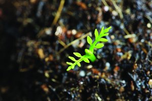 鄉(xiāng)寧縣繪畫有限責(zé)任公司