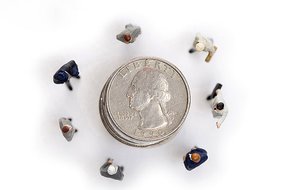 洪洞縣除蟲除蟻有限責(zé)任公司