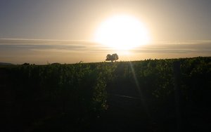 霍州市藝考有限責任公司