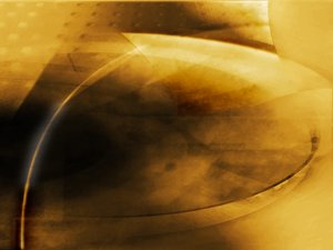 隰縣雞苗有限責(zé)任公司