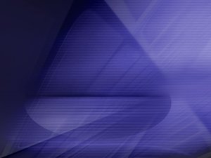 中陽縣飼料昆蟲有限責任公司