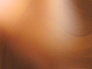 汾陽市濃縮飼料有限責任公司