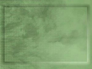 中陽縣箱包飾品有限責(zé)任公司